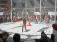 IMG_8427.JPG 